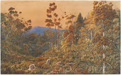 黄金の前夜、ワイヘキ島